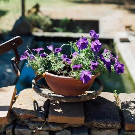 La Sorgente Alloggio per agriturismo *