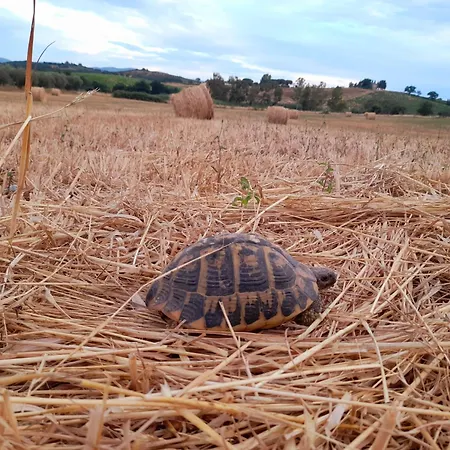 La Sorgente Farm stay *
