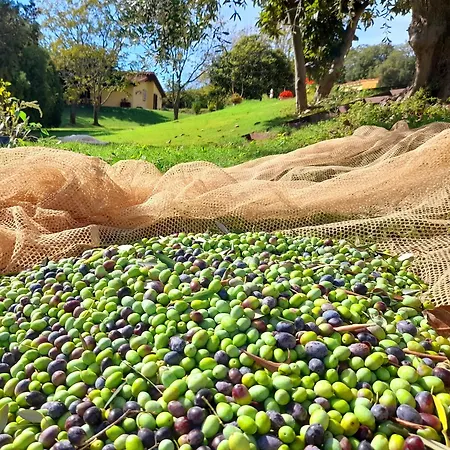 La Sorgente Alloggio per agriturismo *