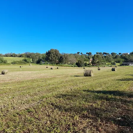Farm stay La Sorgente Fonteblanda